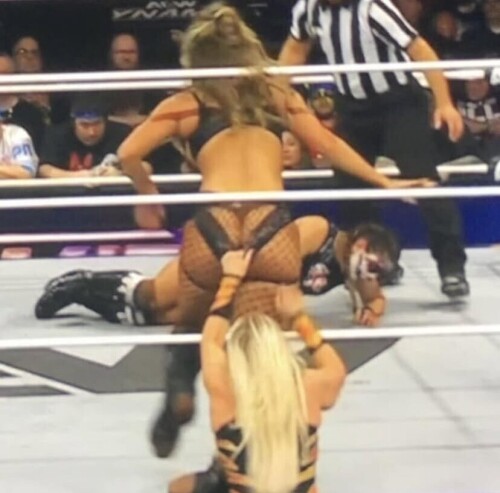 1000025623dcbb8878ea4ffccb