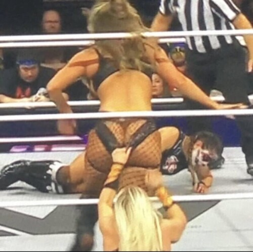 1000025624df0946227499b036