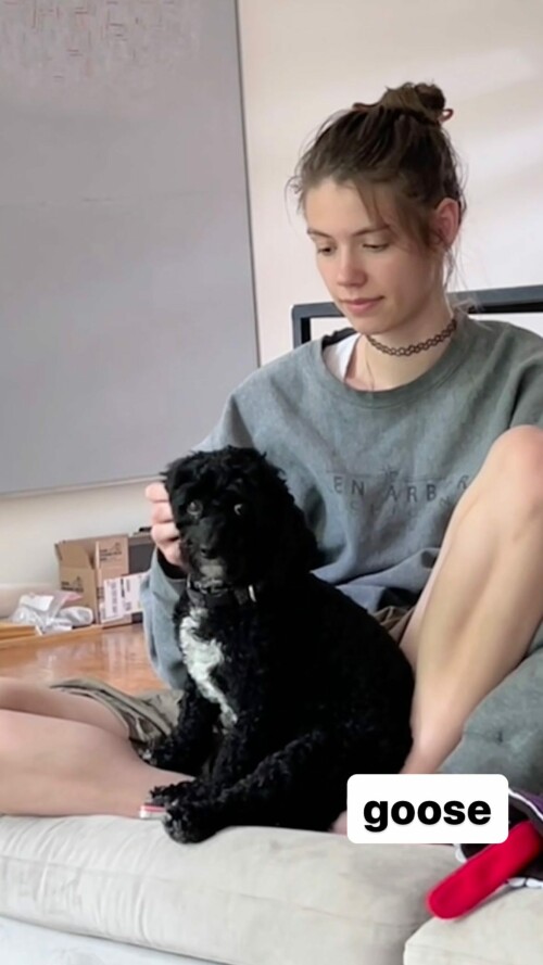 10000267117b708ba9c0e3db26