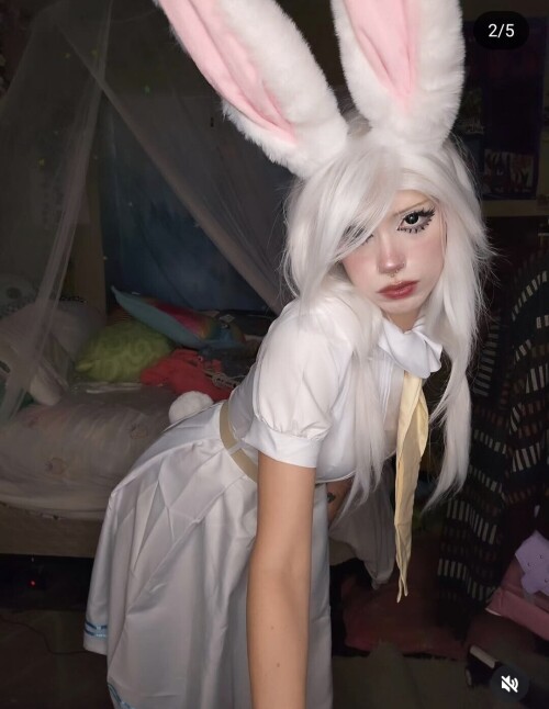 1000028527ee408b9bf503703b