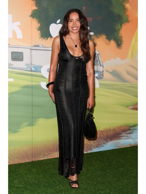 100002990877da63e01a1744a4