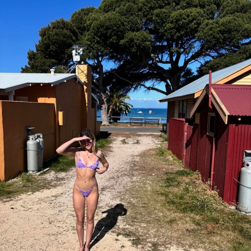 1000031245f8596169fe8d2702