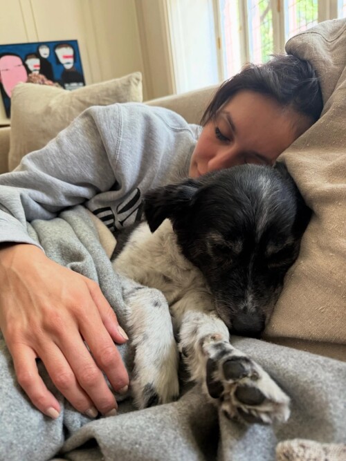 10000323642792abbcd018ade3