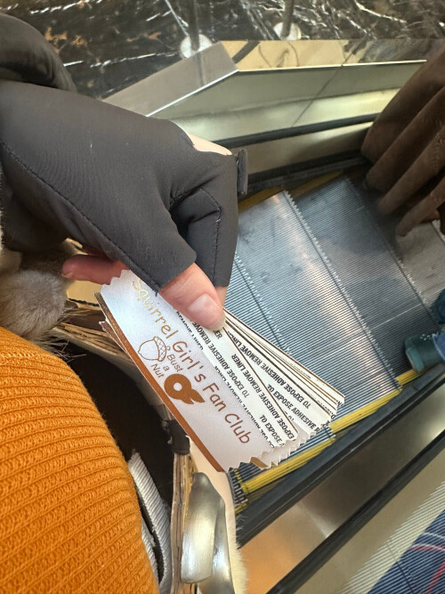 10000383245c030b7aee6fc23c