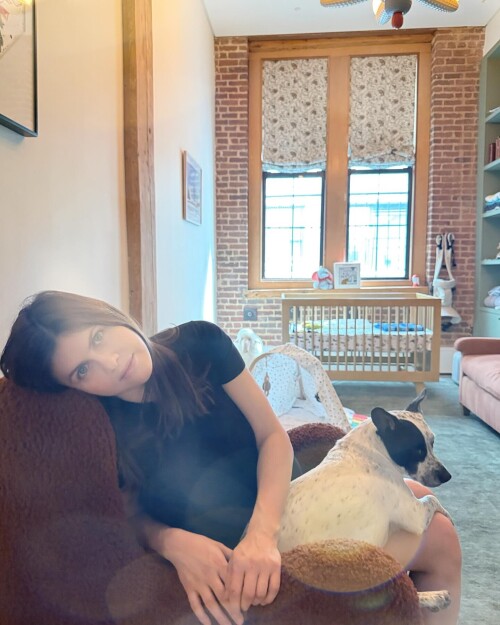 10000394721fada053e0181673