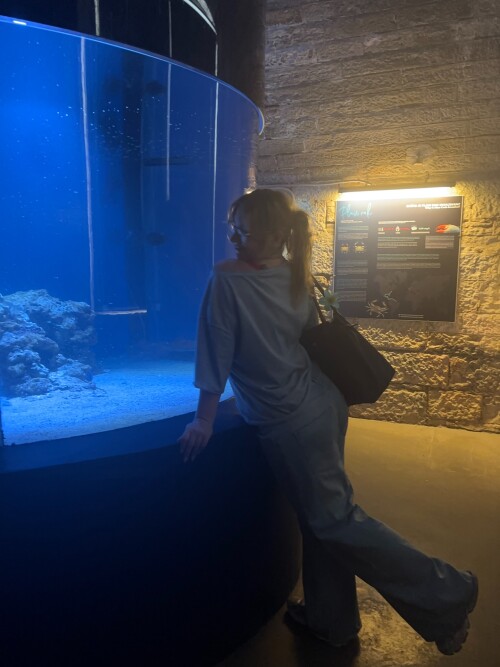 10000398116b3d697694a9e28d