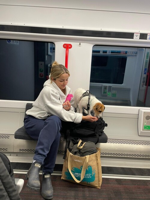 10000399654db6abccec1e0542