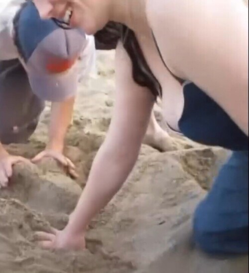 10000409356d352afda3b4d367