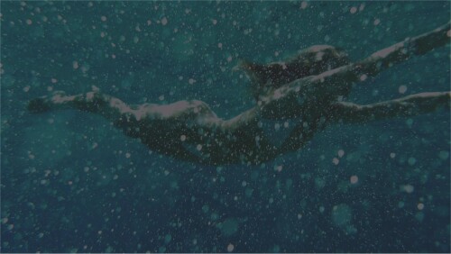 1000043622f743dbb24801e129