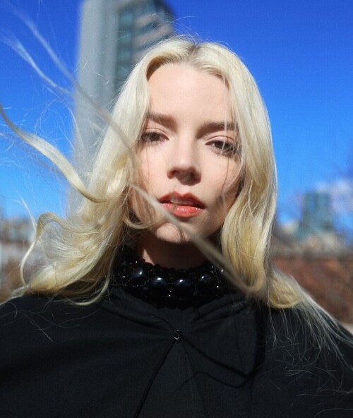 10000438044a453c1e9ca5c310