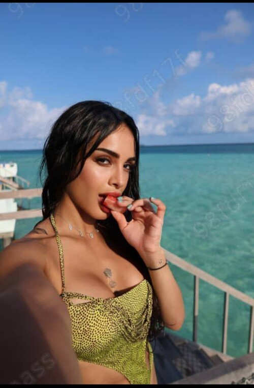 1000046962d89ed504f5472f6e