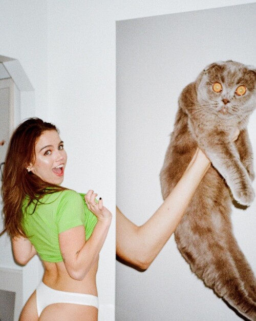 100004696580d89e5e0746093b