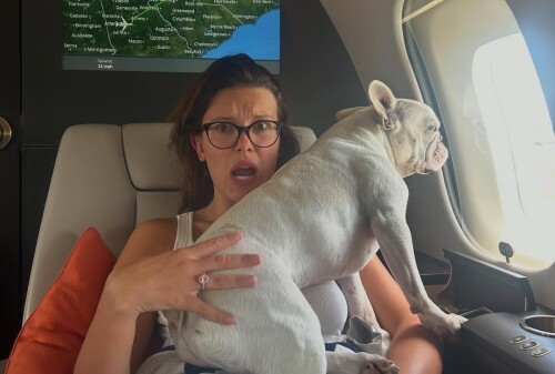 1000047334feb921b54bdaeff4