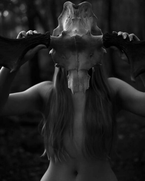 1000048432c26243437816102f