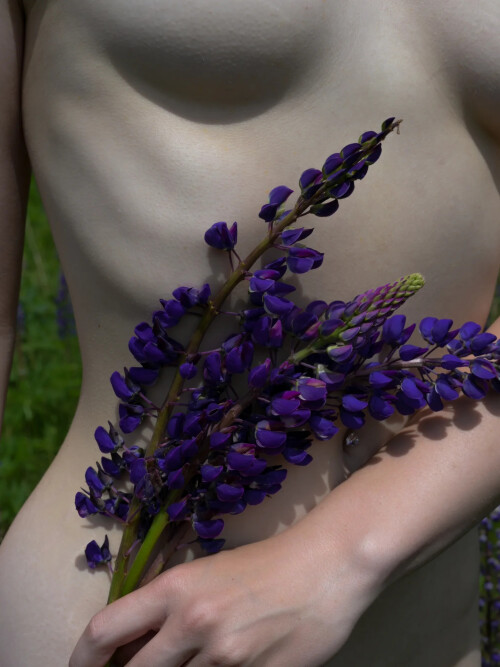 1000048439cc3dfaedefc0fabb