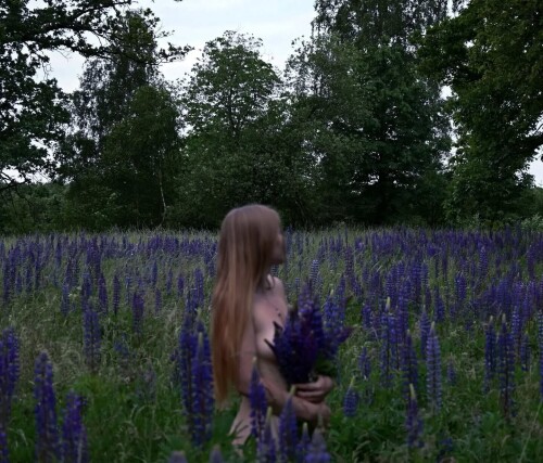 1000048617e95376b9a7c79319