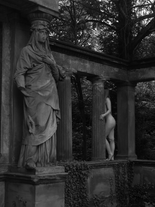 10000486429152bb668d397ee3