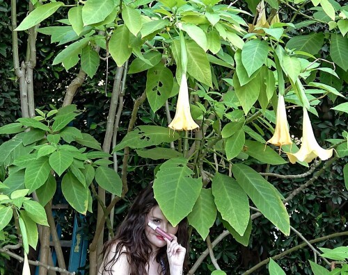 10000487392a5f5705308ebed9