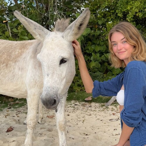 10000494782c97a27f7fe0fa13