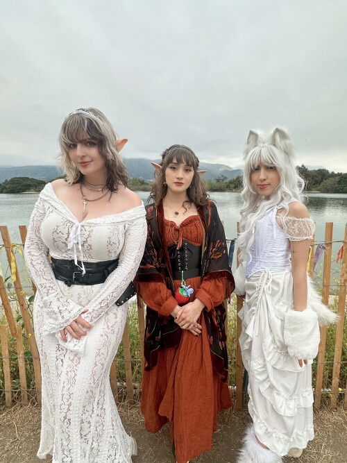 1000052814c0d8a337e94debcd