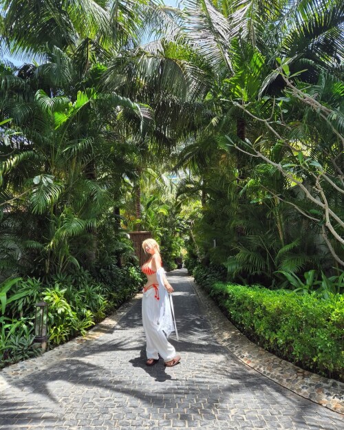 10000535354de50505e218501c