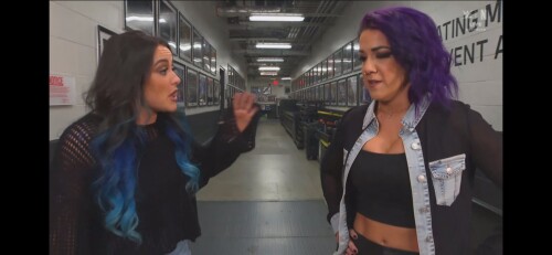 1000077331e6dcf13d5b2a12b9