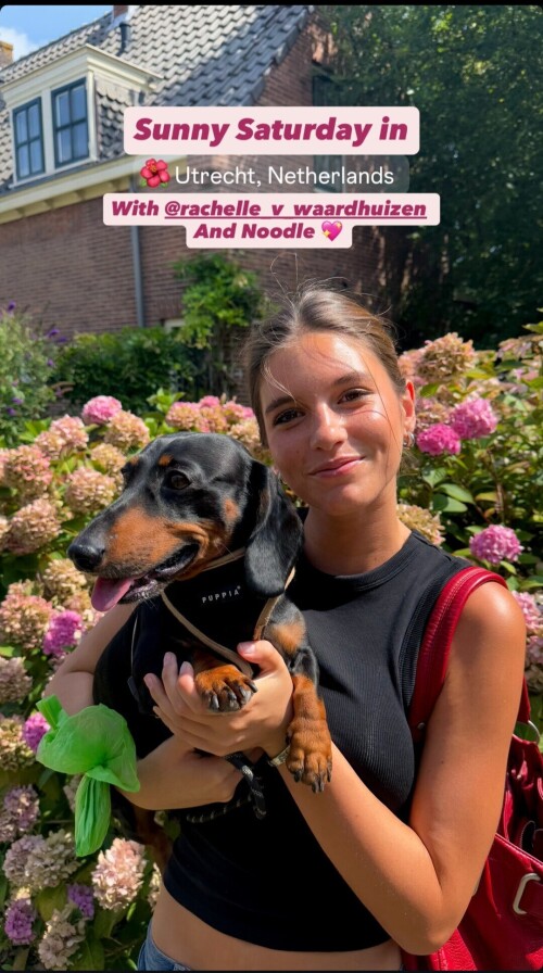 1000078080d31cc333e601613a