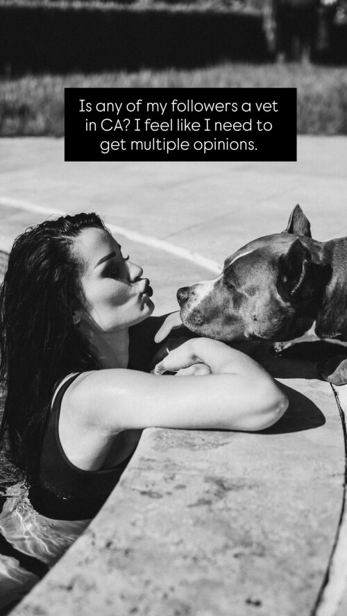 100007963320b4083a39494c64