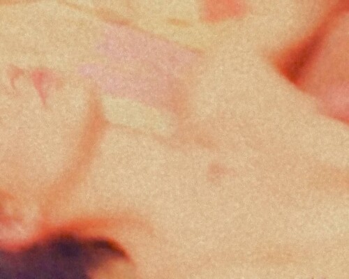 1000083501f20b4985a20fef9f