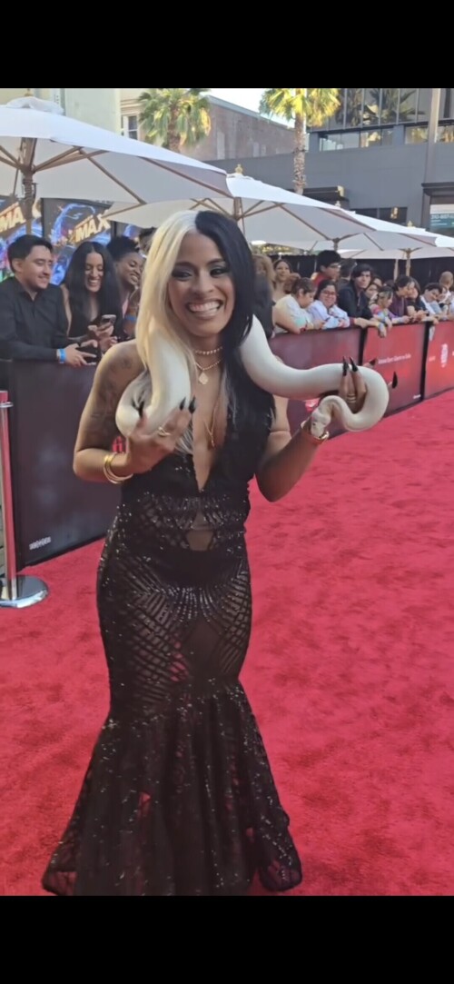 100008415064fcc1731133974c