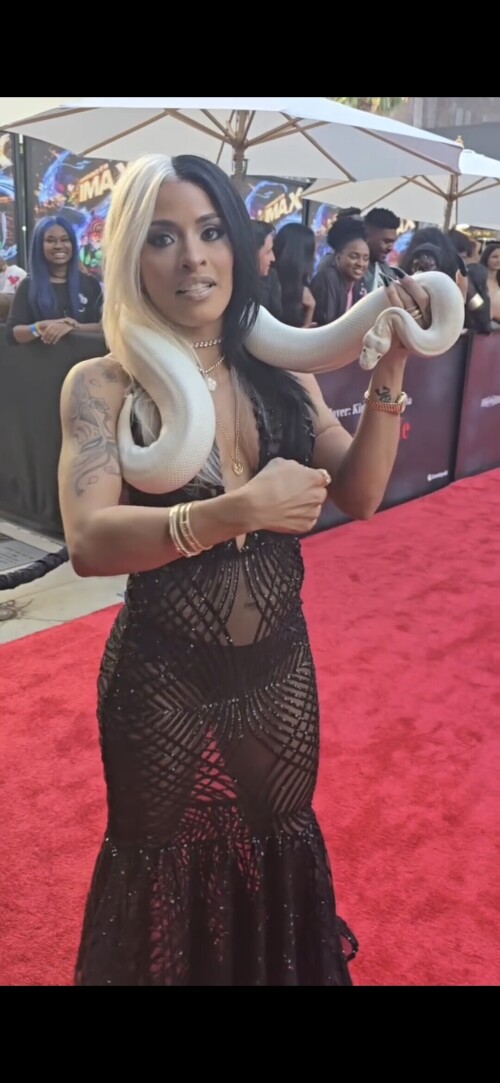 100008415140e8d2a93c49e1f2