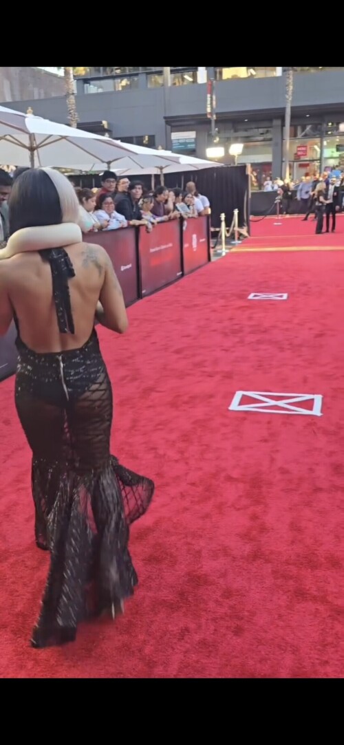 1000084153a003f0f511eff9e3