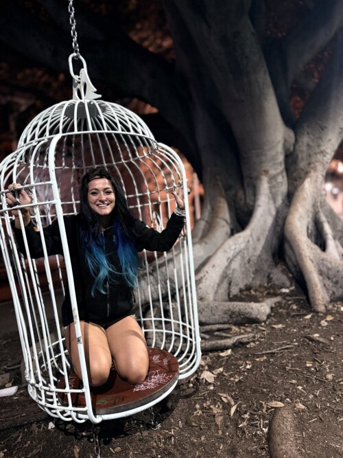 100009101068a1ac365d099726