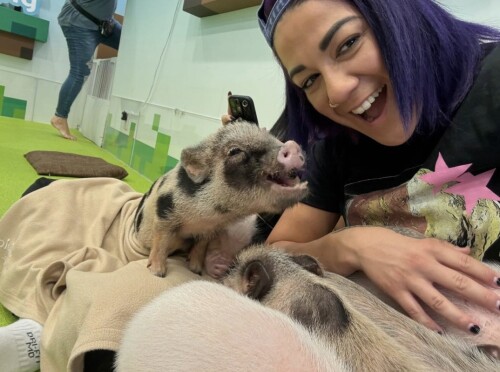 10000924485bee35578d581b53