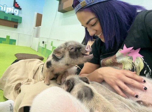 10000924494ba5d3c048b1c462