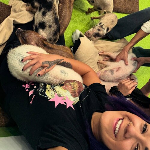 1000092655c8d40e33a323a12d