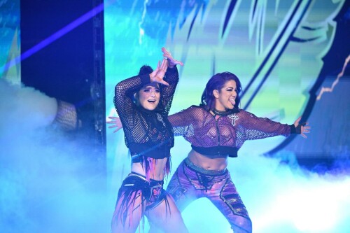 1000094707e2c273890d857254