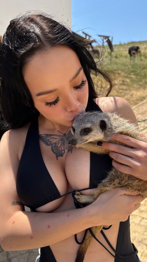 1000096160579608708c105cd8