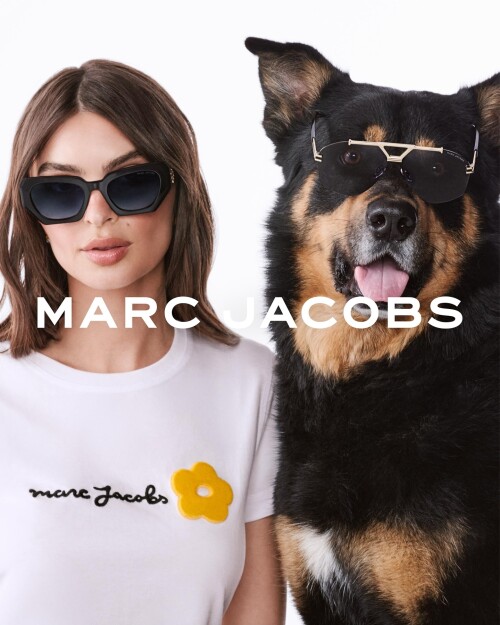 10000970787c07921a69a4a818