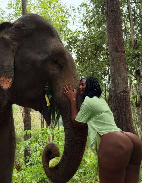 10001020522ef764dabf25ef17