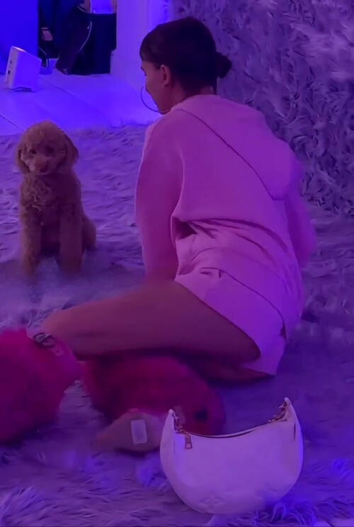 10001023755add47295e2c2919