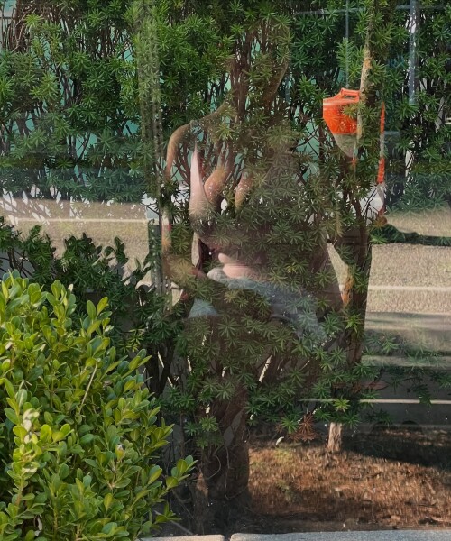 1000114204a1616b94c2d0df66