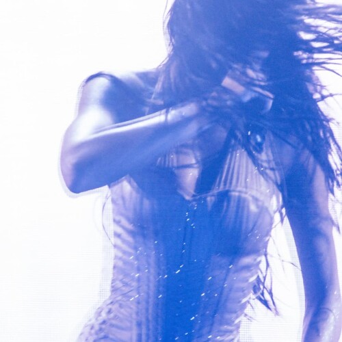 10001146131c2ecd544779a6a8