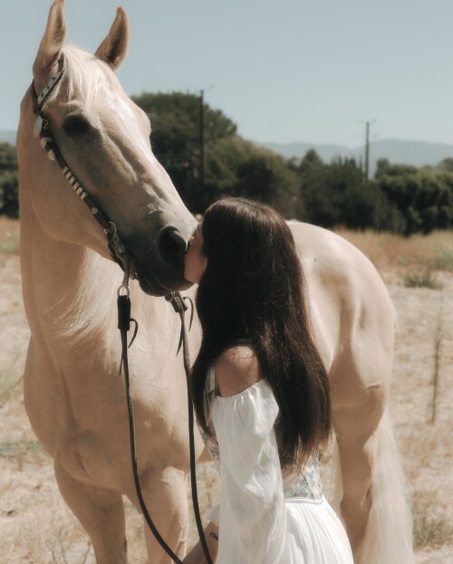 1000115285ecc91990be8d6516