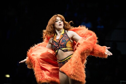 10001164223664083ca26a0949