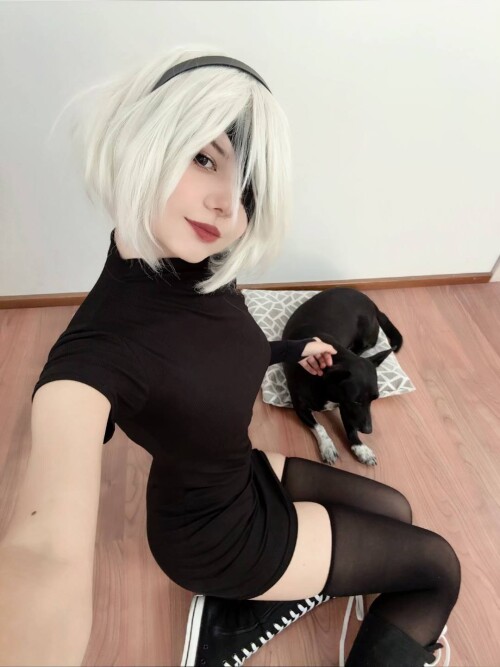 10001203019cf86f1444c04b8c