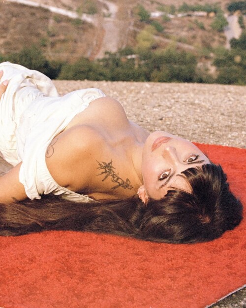 100012075329af52c5d2472785