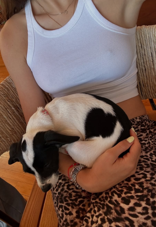 10001292979470ab9da51b816a