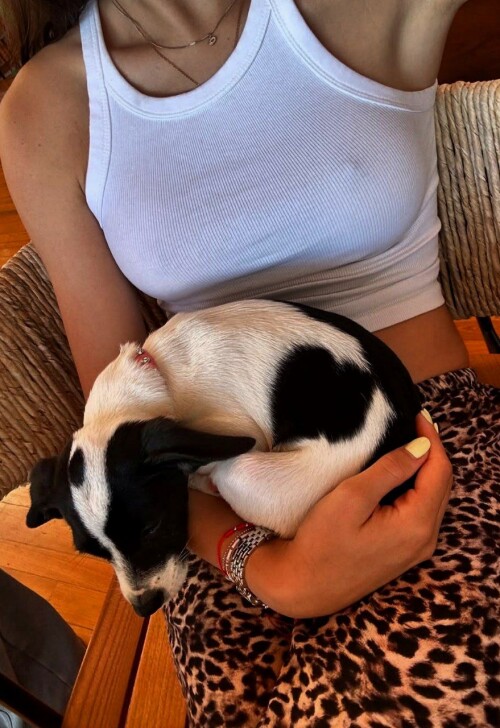 10001294387cafc8c79dc3f0ae