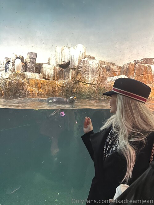 10001319066132c984cc43d552